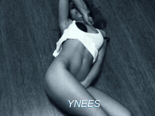 YNEES