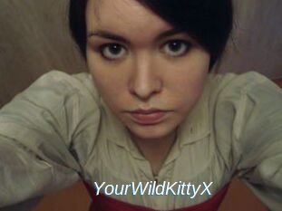 YourWildKittyX