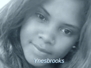 Ynesbrooks
