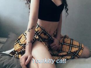 Yourkitty_catt