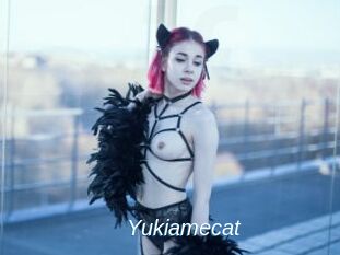 Yukiamecat