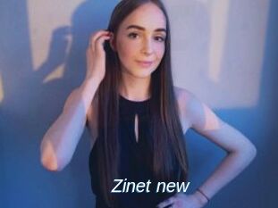 Zinet_new