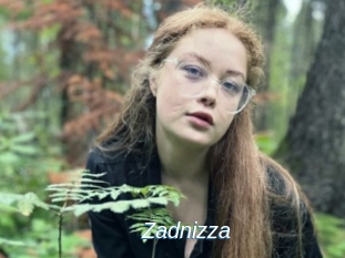 Zadnizza