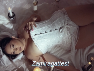 Zamiragattest